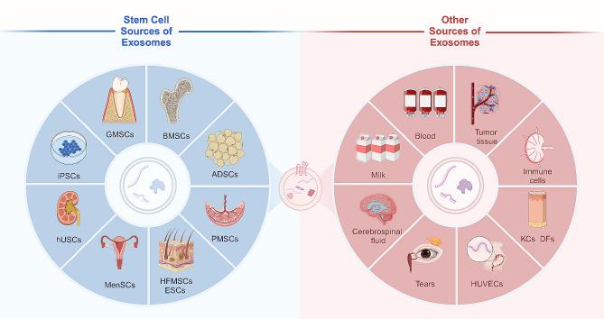 https://cdn.ncbi.nlm.nih.gov/pmc/blobs/839d/11225131/f4f465a8d668/12951_2024_2684_Fig3_HTML.jpg