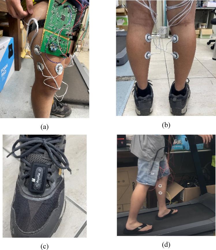 https://cdn.ncbi.nlm.nih.gov/pmc/blobs/839d/11993641/713f889c313f/41598_2025_95973_Fig2_HTML.jpg