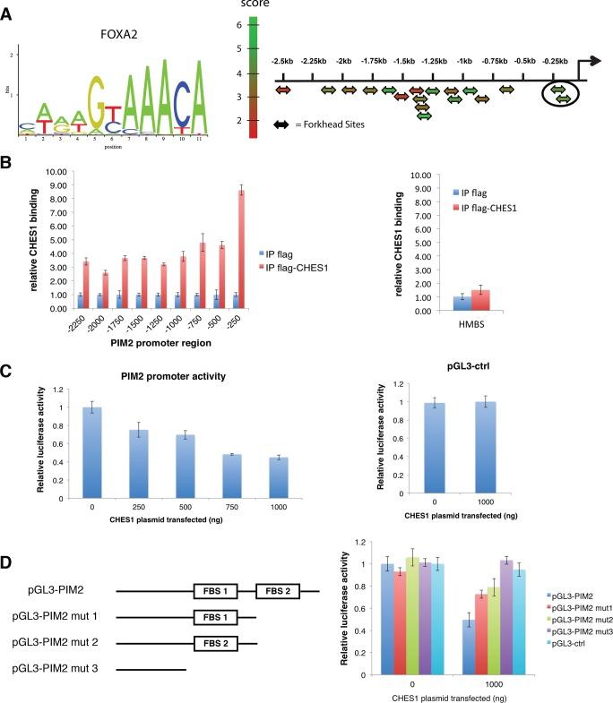 https://cdn.ncbi.nlm.nih.gov/pmc/blobs/839d/3937083/d5204ee229ec/554fig5.jpg