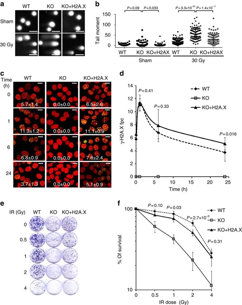 https://cdn.ncbi.nlm.nih.gov/pmc/blobs/839d/4756313/8da76d35224c/ncomms10711-f5.jpg