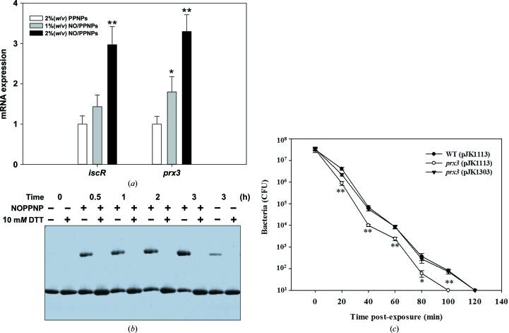 https://cdn.ncbi.nlm.nih.gov/pmc/blobs/839d/5755580/45fc0cdca967/m-05-00082-fig6.jpg