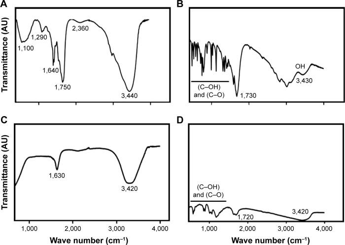 https://cdn.ncbi.nlm.nih.gov/pmc/blobs/839e/5592952/028fc2377325/ijn-12-6537Fig3.jpg