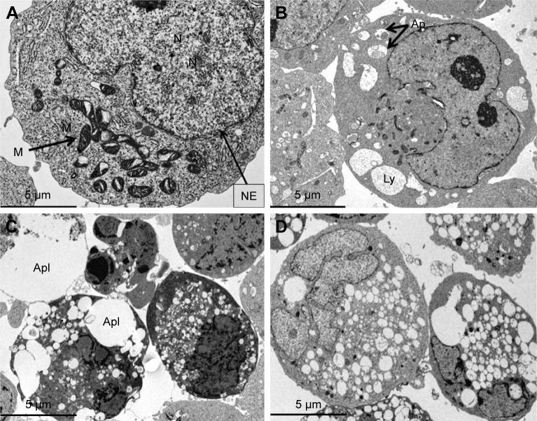 https://cdn.ncbi.nlm.nih.gov/pmc/blobs/839e/5592952/baf3a6a68cd3/ijn-12-6537Fig14.jpg