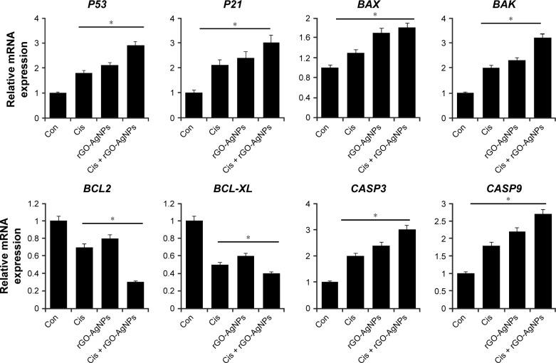 https://cdn.ncbi.nlm.nih.gov/pmc/blobs/839e/5592952/c6326ead6704/ijn-12-6537Fig11.jpg