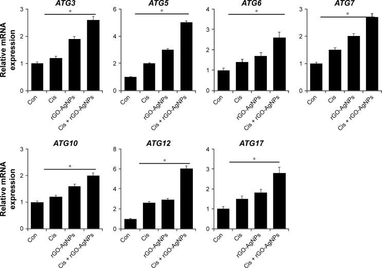 https://cdn.ncbi.nlm.nih.gov/pmc/blobs/839e/5592952/faea3a661c65/ijn-12-6537Fig13.jpg