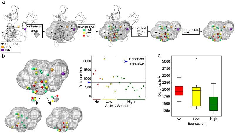 https://cdn.ncbi.nlm.nih.gov/pmc/blobs/839e/5862518/6c50c0aabeaa/pcbi.1006030.g003.jpg