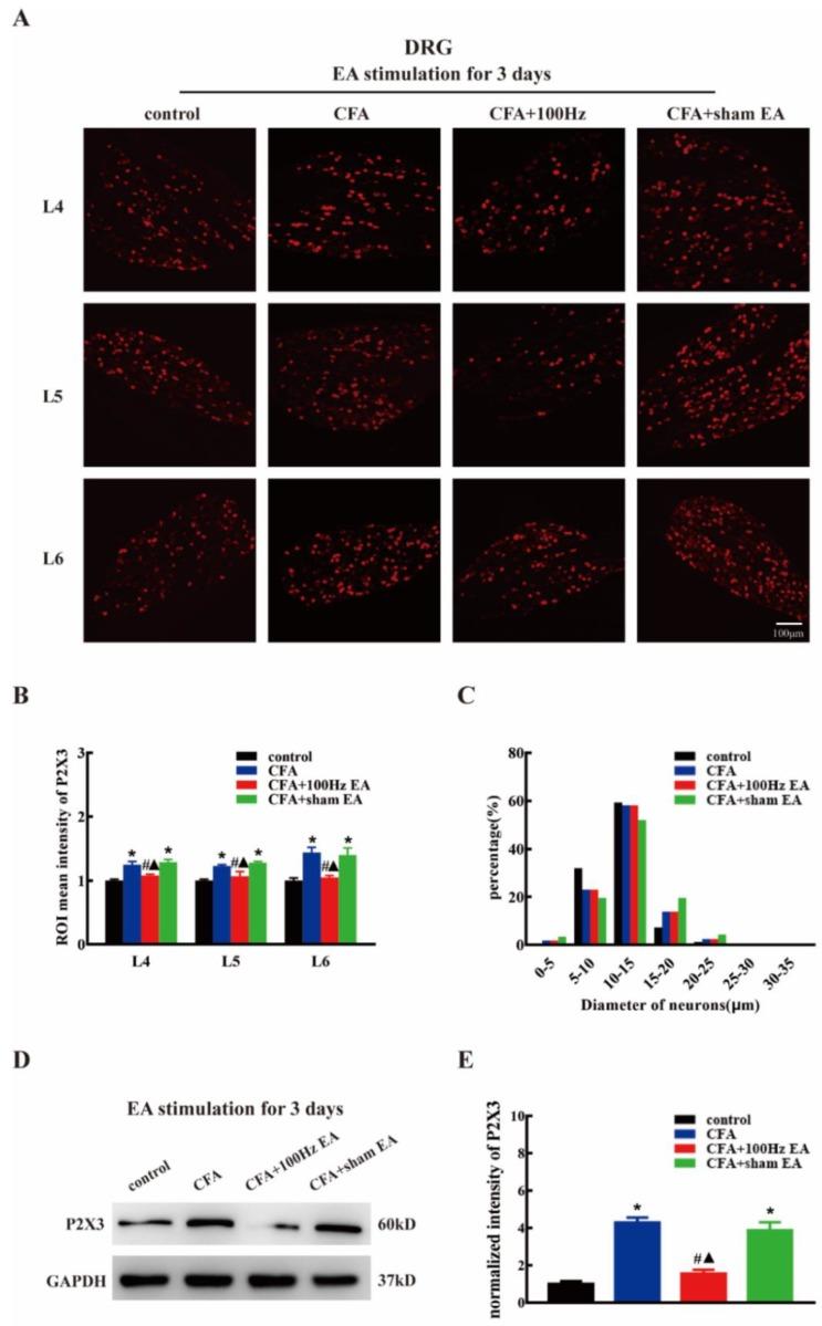 https://cdn.ncbi.nlm.nih.gov/pmc/blobs/839f/6651287/54e63e2e3a22/ijms-20-03248-g002.jpg