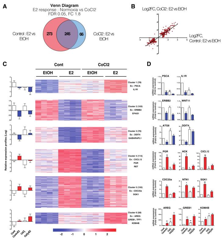 https://cdn.ncbi.nlm.nih.gov/pmc/blobs/839f/9563995/1957bca172c3/cancers-14-04934-g002.jpg