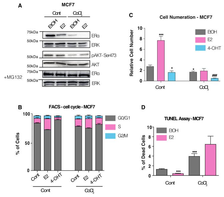 https://cdn.ncbi.nlm.nih.gov/pmc/blobs/839f/9563995/97ec9ddcc620/cancers-14-04934-g001.jpg