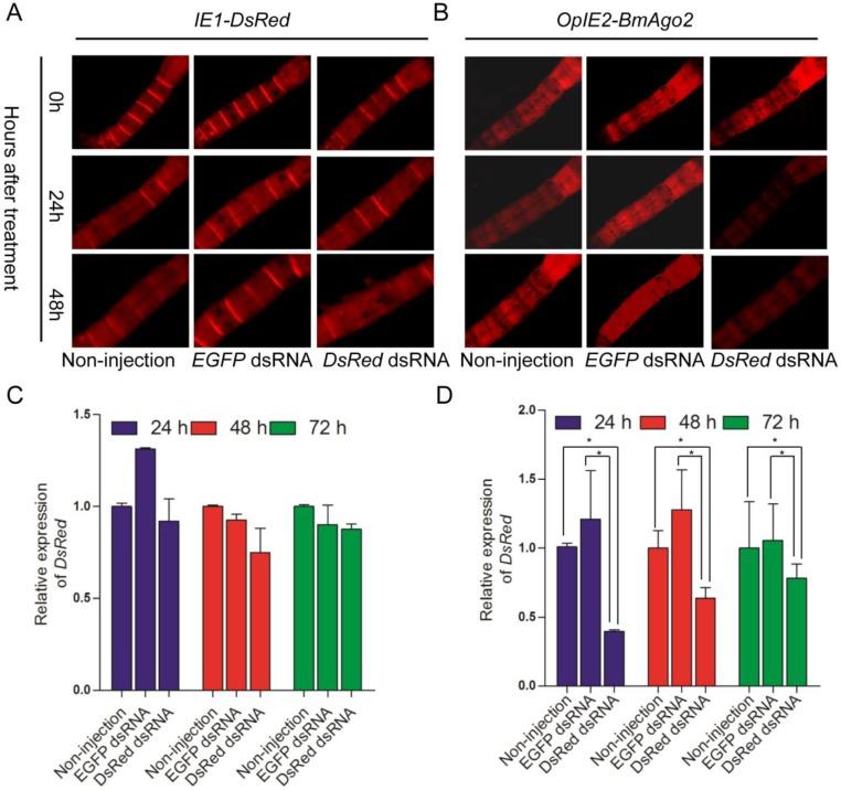 https://cdn.ncbi.nlm.nih.gov/pmc/blobs/83a0/4279093/a78cc95635d6/ijbsv11p0176g005.jpg