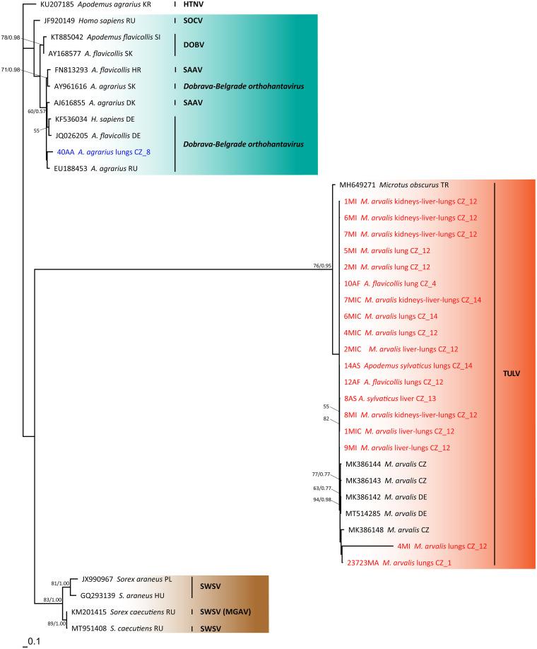 https://cdn.ncbi.nlm.nih.gov/pmc/blobs/83a0/9604079/17d2a5201d28/spectrum.01306-22-f003.jpg