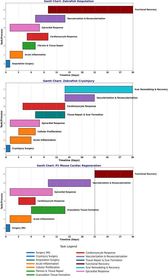 https://cdn.ncbi.nlm.nih.gov/pmc/blobs/83a2/12174244/634f63f082f2/11886_2025_2235_Fig1_HTML.jpg