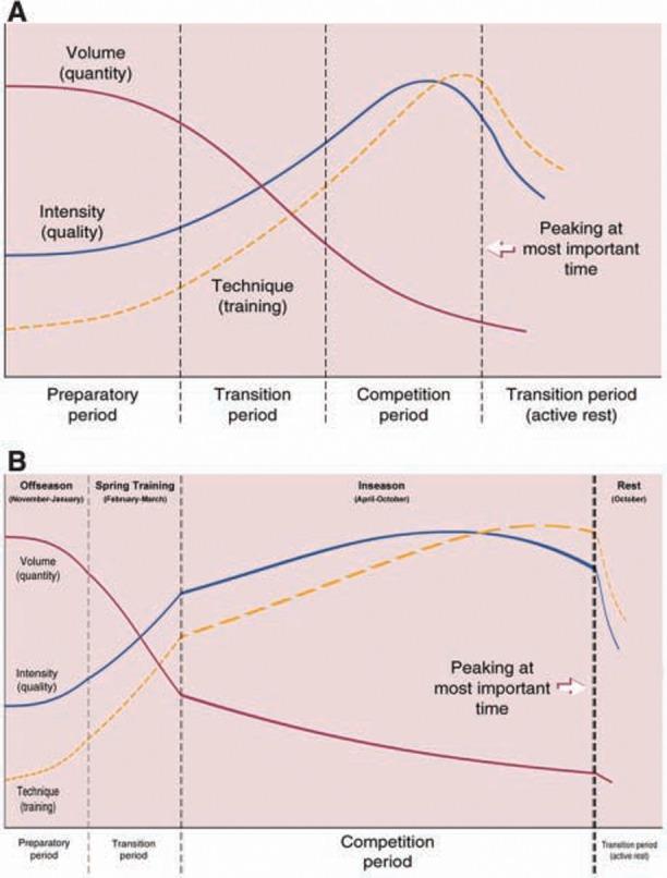 https://cdn.ncbi.nlm.nih.gov/pmc/blobs/83a2/3445082/fbff78838c69/10.1177_1941738110362518-fig2.jpg