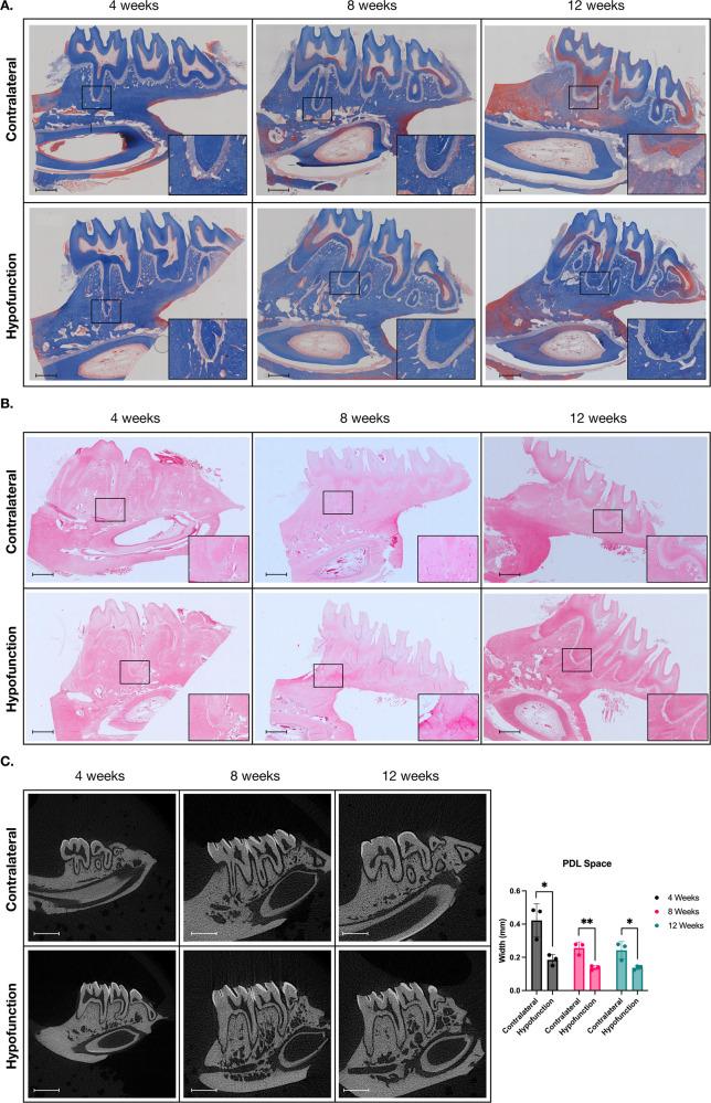 https://cdn.ncbi.nlm.nih.gov/pmc/blobs/83a5/10353993/16c9b3e9fbc2/41405_2023_155_Fig2_HTML.jpg