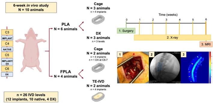 https://cdn.ncbi.nlm.nih.gov/pmc/blobs/83a5/11299905/a4097072efa7/JSP2-7-e1363-g005.jpg