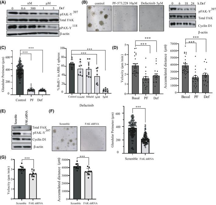 https://cdn.ncbi.nlm.nih.gov/pmc/blobs/83a5/9812840/8acf91db2c7e/MOL2-17-98-g006.jpg