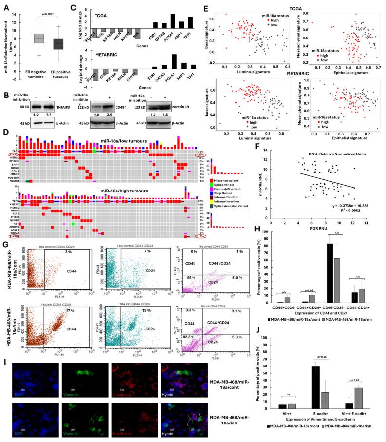 https://cdn.ncbi.nlm.nih.gov/pmc/blobs/83a6/11119613/b7109ee64106/cells-13-00821-g001.jpg