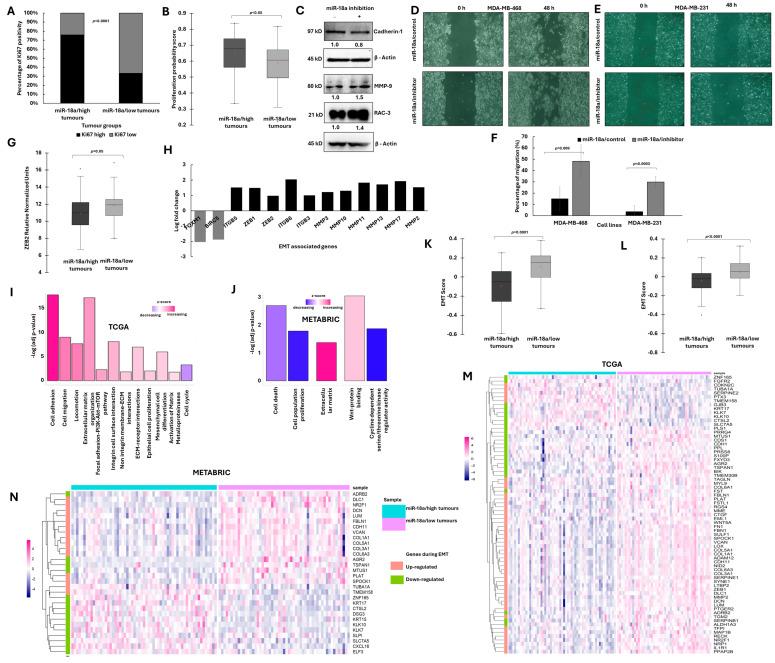 https://cdn.ncbi.nlm.nih.gov/pmc/blobs/83a6/11119613/c1067dfcb9bc/cells-13-00821-g002.jpg