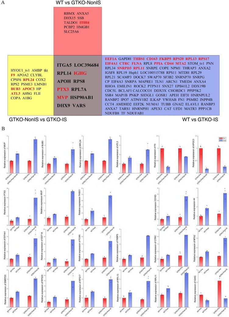 https://cdn.ncbi.nlm.nih.gov/pmc/blobs/83a9/12082002/4b5f1d5f9626/XEN-32-e70040-g008.jpg