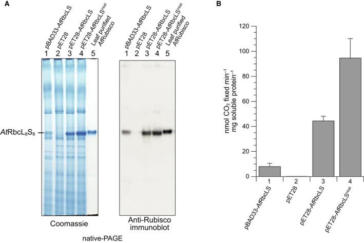 https://cdn.ncbi.nlm.nih.gov/pmc/blobs/83a9/6593764/10aed47130af/FEB2-593-611-g003.jpg