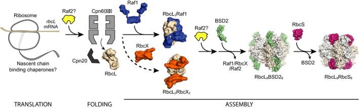 https://cdn.ncbi.nlm.nih.gov/pmc/blobs/83a9/6593764/ab06df74297c/FEB2-593-611-g001.jpg
