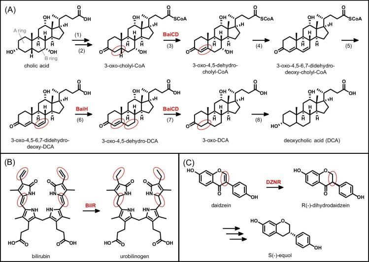https://cdn.ncbi.nlm.nih.gov/pmc/blobs/83ab/11574389/040cc462fad2/mfae049fig4.jpg