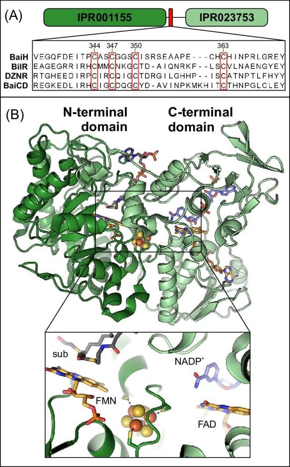 https://cdn.ncbi.nlm.nih.gov/pmc/blobs/83ab/11574389/2e7bc3bf4543/mfae049fig3.jpg