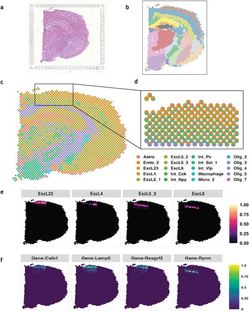 https://cdn.ncbi.nlm.nih.gov/pmc/blobs/83ac/11024133/f3ded03ec2a1/42003_2024_6172_Fig6_HTML.jpg