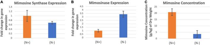 https://cdn.ncbi.nlm.nih.gov/pmc/blobs/83ac/9243426/bbd6b0507505/fpls-13-885366-g005.jpg