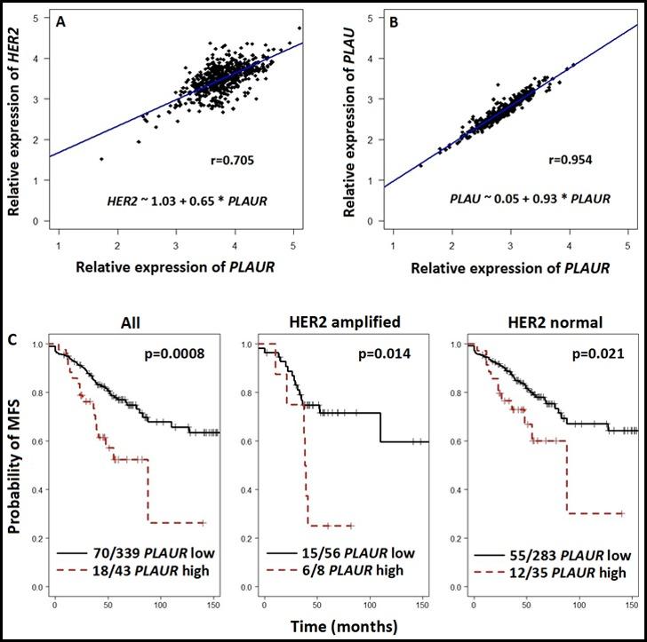 https://cdn.ncbi.nlm.nih.gov/pmc/blobs/83ad/4394126/b441a6b1b3ee/oncoscience-02-0207-g001.jpg
