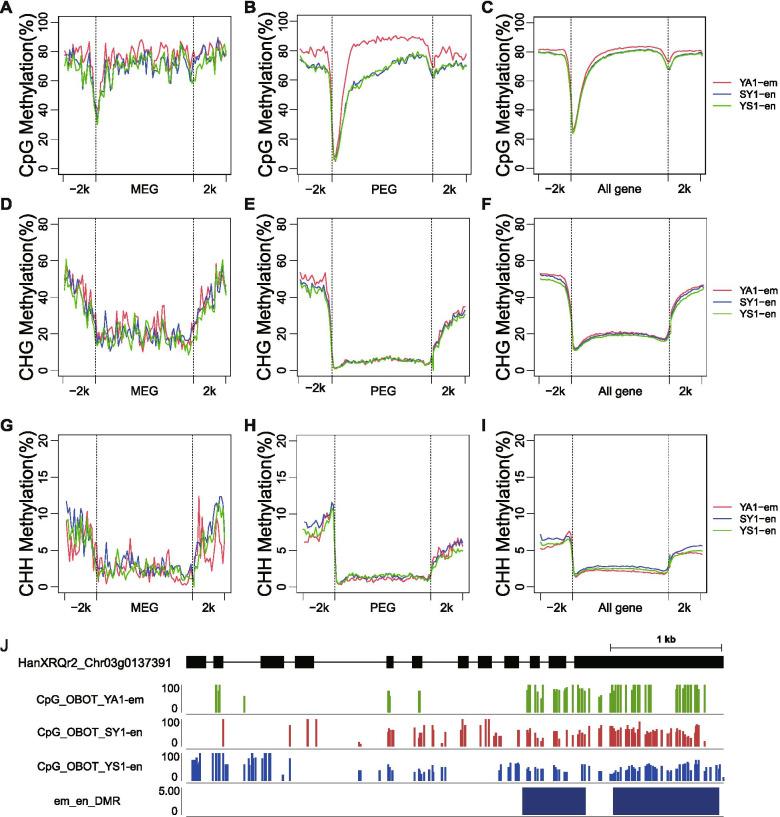https://cdn.ncbi.nlm.nih.gov/pmc/blobs/83ad/8642925/0898f3f155f5/12870_2021_3344_Fig3_HTML.jpg