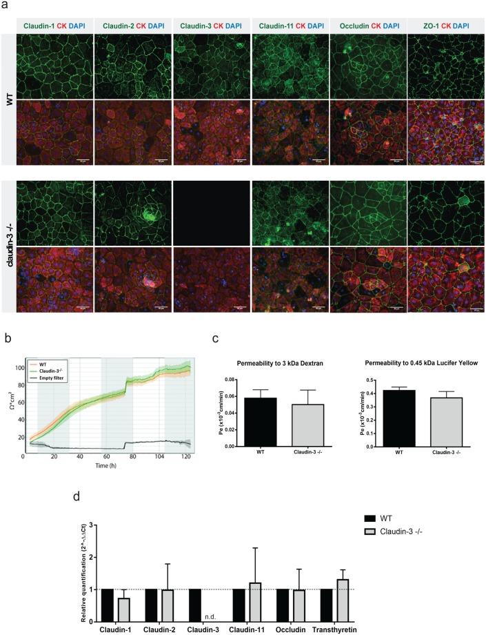 https://cdn.ncbi.nlm.nih.gov/pmc/blobs/83af/6338742/29bd445bf007/41598_2018_36731_Fig5_HTML.jpg