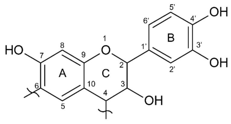 https://cdn.ncbi.nlm.nih.gov/pmc/blobs/83b1/8706668/04482d08056c/polymers-13-04412-g006.jpg