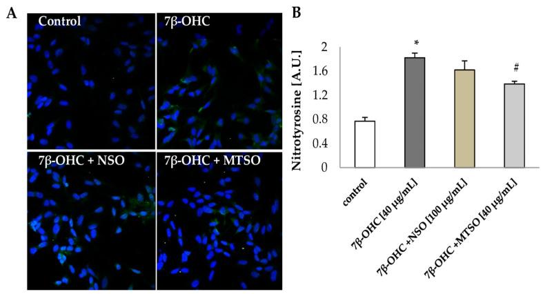 https://cdn.ncbi.nlm.nih.gov/pmc/blobs/83b2/8229989/db6ebb76ef2c/biomolecules-11-00797-g005.jpg