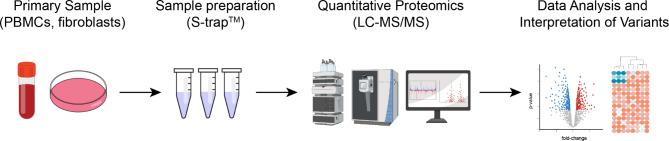 https://cdn.ncbi.nlm.nih.gov/pmc/blobs/83b3/11605922/13277cac3178/13023_2024_3462_Fig1_HTML.jpg