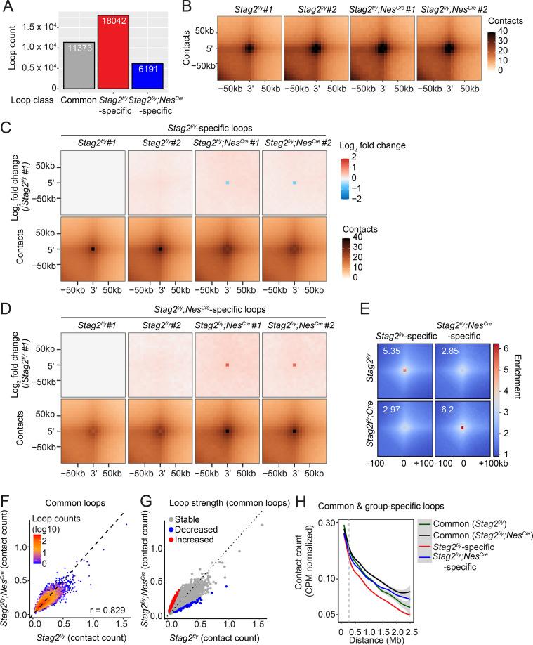 https://cdn.ncbi.nlm.nih.gov/pmc/blobs/83b3/9439679/0231404e0b4c/elife-77848-fig7-figsupp1.jpg