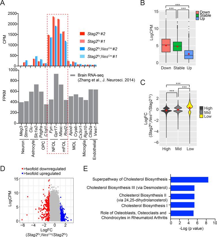 https://cdn.ncbi.nlm.nih.gov/pmc/blobs/83b3/9439679/b258af560ecf/elife-77848-fig4-figsupp4.jpg