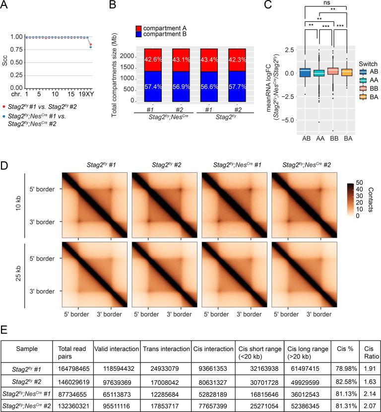 https://cdn.ncbi.nlm.nih.gov/pmc/blobs/83b3/9439679/b4d24974612b/elife-77848-fig6-figsupp1.jpg