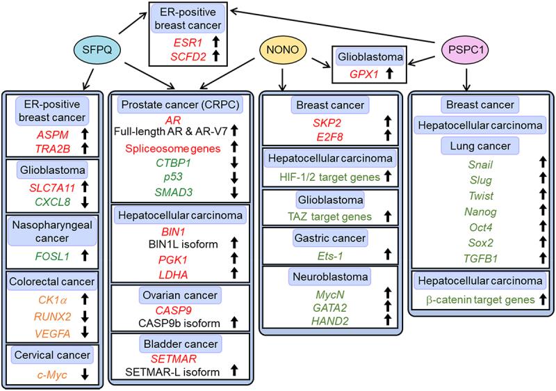 https://cdn.ncbi.nlm.nih.gov/pmc/blobs/83b4/10984136/66383eae4006/KRNB_A_2332855_F0003_OC.jpg