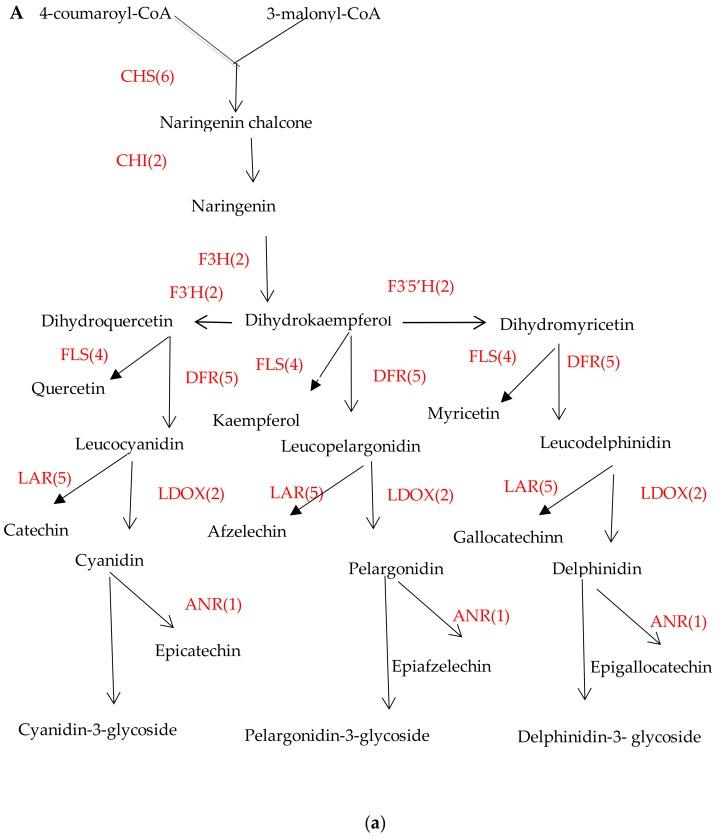 https://cdn.ncbi.nlm.nih.gov/pmc/blobs/83b4/6471635/acb28c167d69/molecules-24-01064-g007a.jpg