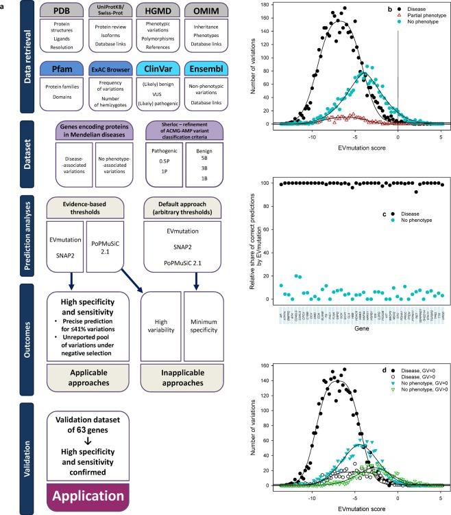 https://cdn.ncbi.nlm.nih.gov/pmc/blobs/83b5/6901466/558bb0e04553/41598_2019_54976_Fig1_HTML.jpg