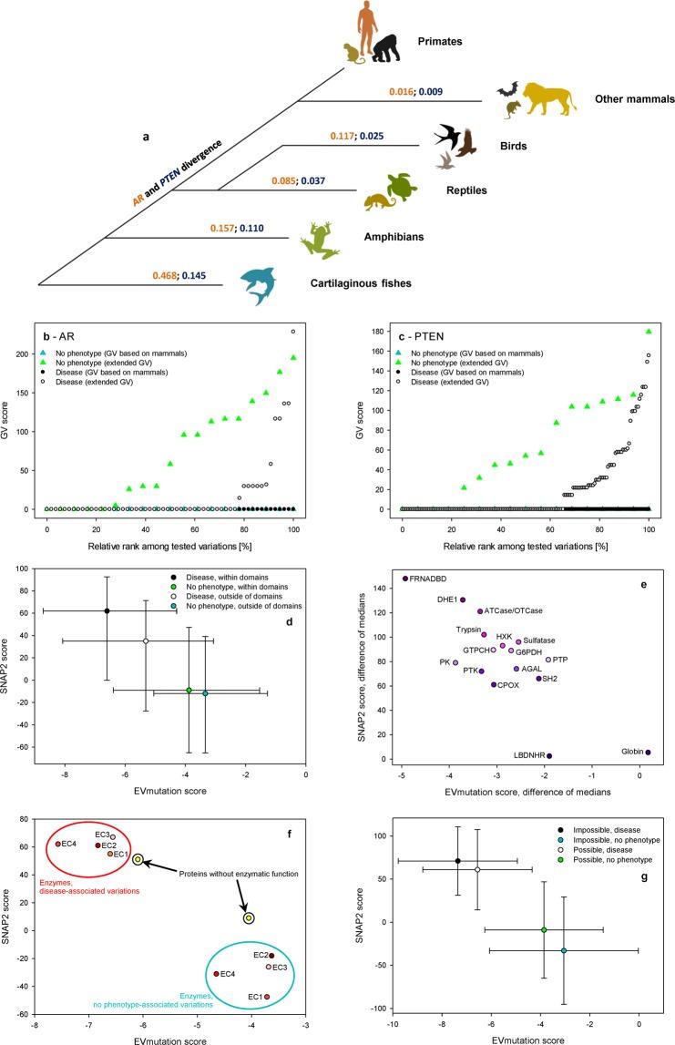https://cdn.ncbi.nlm.nih.gov/pmc/blobs/83b5/6901466/a09de89dfbe4/41598_2019_54976_Fig2_HTML.jpg