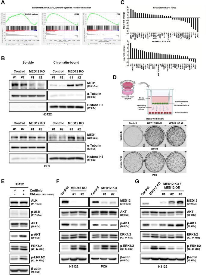 https://cdn.ncbi.nlm.nih.gov/pmc/blobs/83b6/12367601/91445ed3bd7d/18_2025_5791_Fig3_HTML.jpg