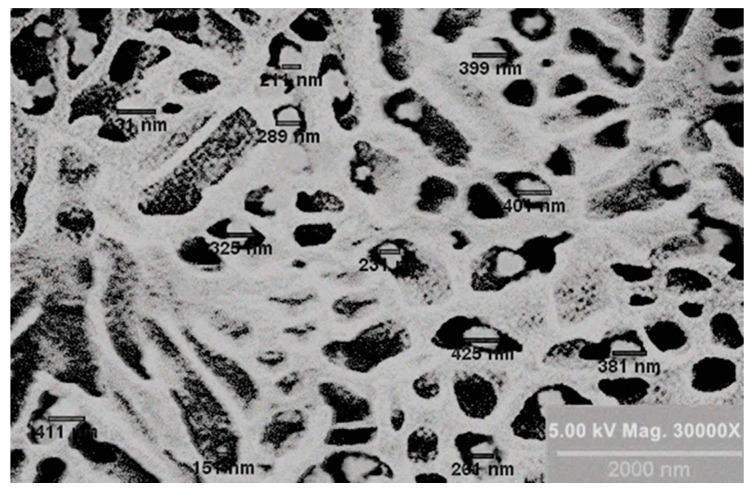 https://cdn.ncbi.nlm.nih.gov/pmc/blobs/83b7/11768106/47a259819790/pharmaceutics-17-00004-g001.jpg