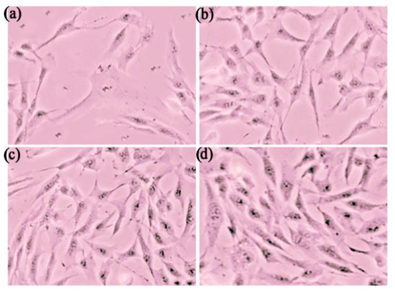 https://cdn.ncbi.nlm.nih.gov/pmc/blobs/83b7/11768106/9fc071b5d431/pharmaceutics-17-00004-g016.jpg
