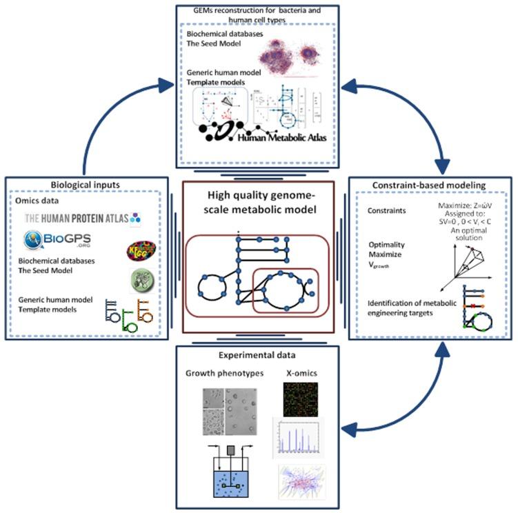 https://cdn.ncbi.nlm.nih.gov/pmc/blobs/83b7/4000997/57901a127889/fgene-05-00086-g002.jpg