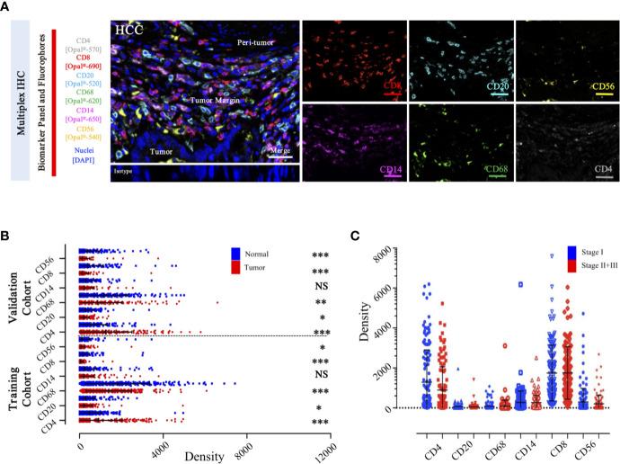 https://cdn.ncbi.nlm.nih.gov/pmc/blobs/83b8/7862794/dda11882521d/fonc-10-574778-g006.jpg