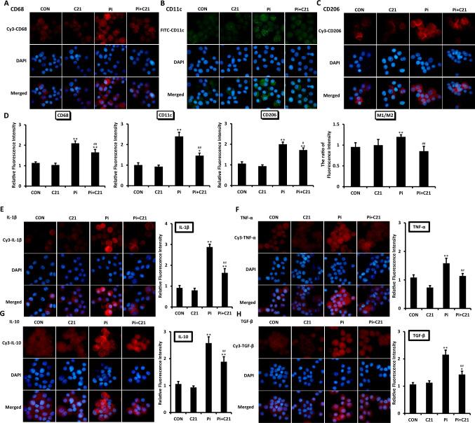 https://cdn.ncbi.nlm.nih.gov/pmc/blobs/83b9/12008085/e90b3aed0a77/18_2025_5703_Fig2_HTML.jpg