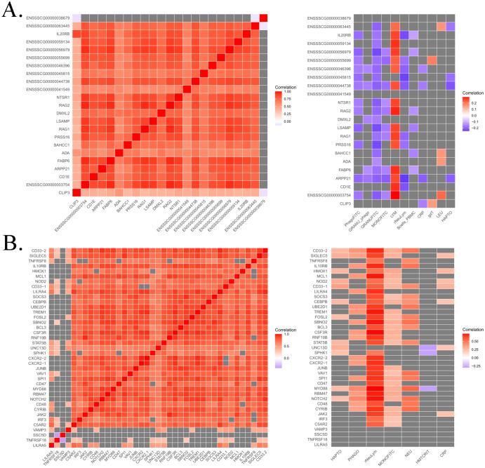 https://cdn.ncbi.nlm.nih.gov/pmc/blobs/83ba/12177557/516167df6348/fimmu-16-1582982-g006.jpg