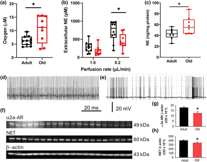https://cdn.ncbi.nlm.nih.gov/pmc/blobs/83bb/11709105/50262d2dd7ed/ACEL-24-e14342-g005.jpg